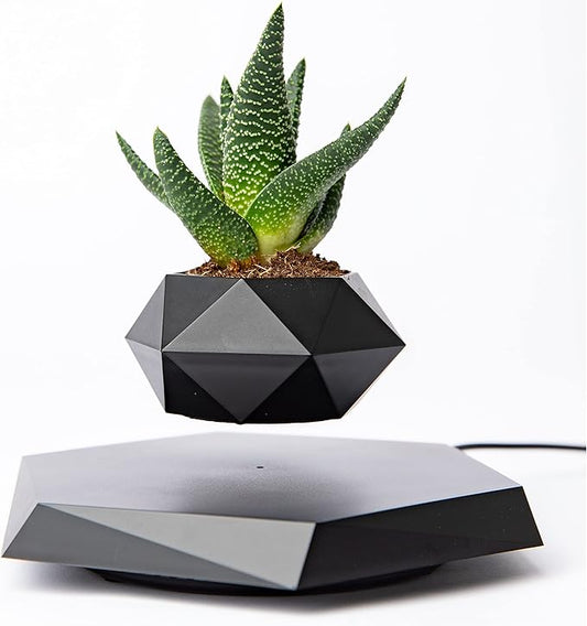 BandDlevs Floating Pots for Plants - Levitating Pot - Levitating Planter for Bonsai, Succulents, Air Plants - Floating Magnetic Display for Home Office Desks - Magnetic Levitation Plant Holder