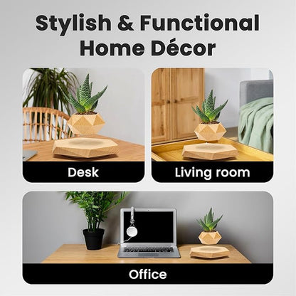 BandDlevs Floating Pots for Plants - Levitating Pot - Levitating Planter for Bonsai, Succulents, Air Plants - Floating Magnetic Display for Home Office Desks - Magnetic Levitation Plant Holder