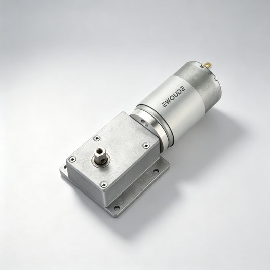 EW-5436GR555