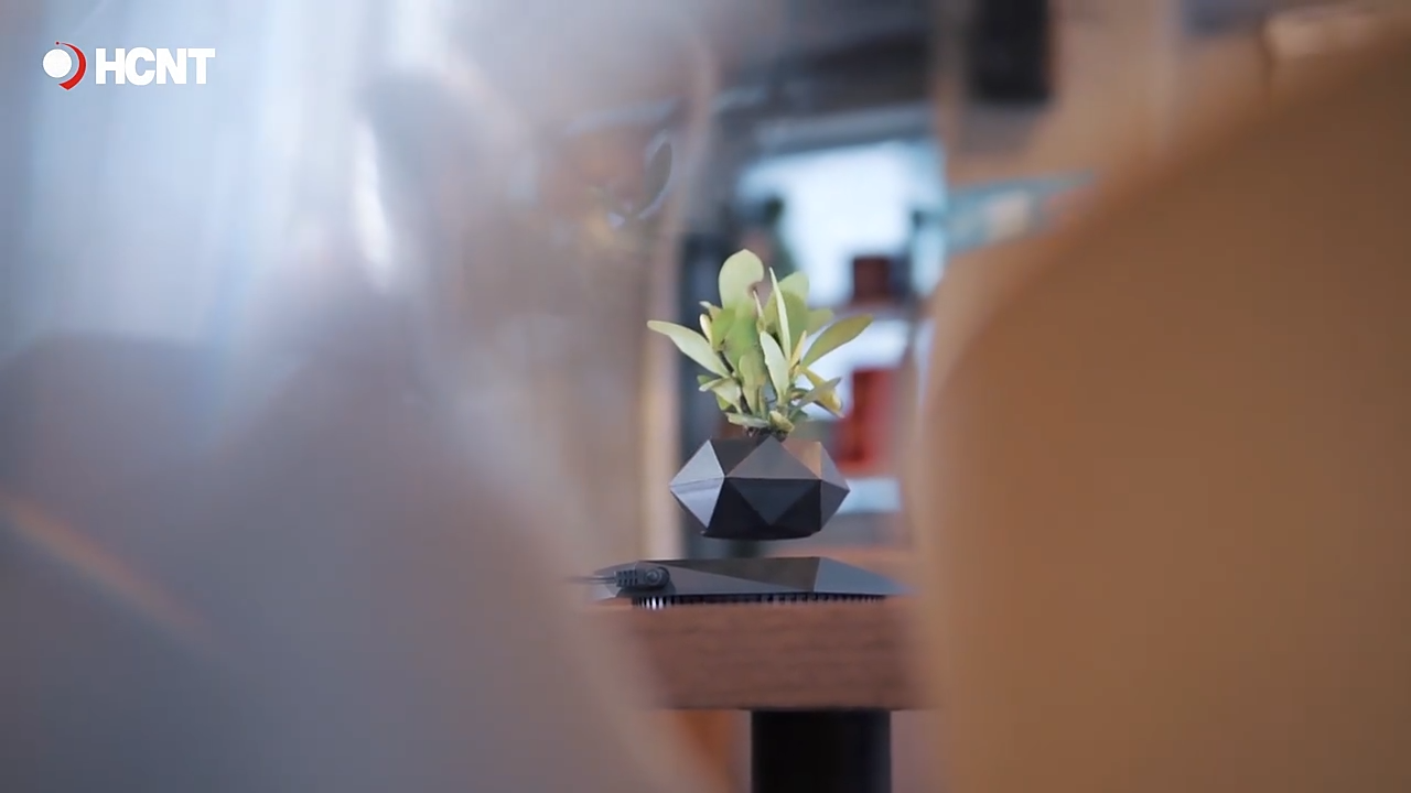 BandDlevs Floating Pots for Plants - Levitating Pot - Levitating Planter for Bonsai, Succulents, Air Plants - Floating Magnetic Display for Home Office Desks - Magnetic Levitation Plant Holder